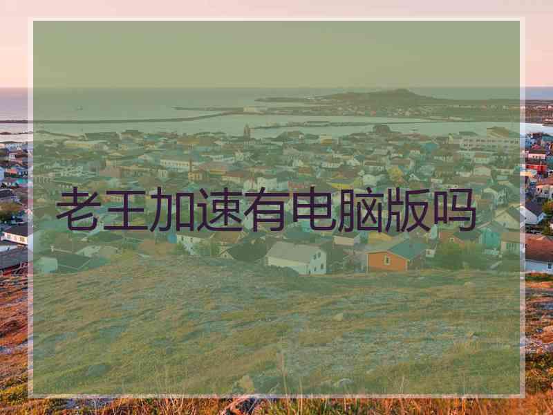 老王加速有电脑版吗