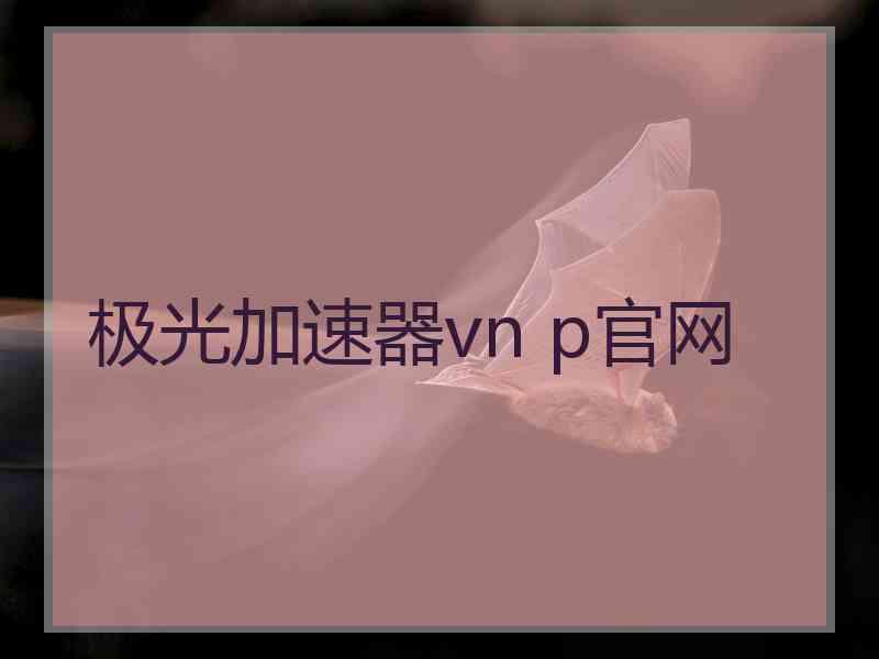 极光加速器vn p官网