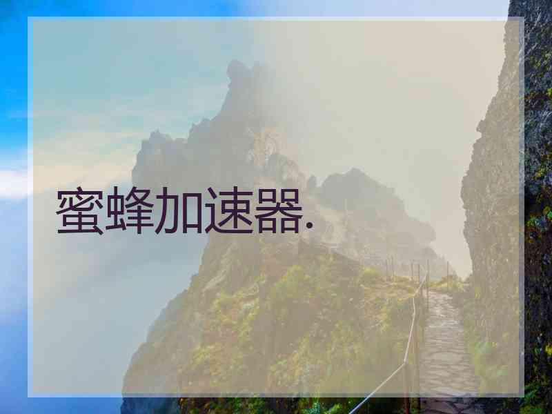 蜜蜂加速器.