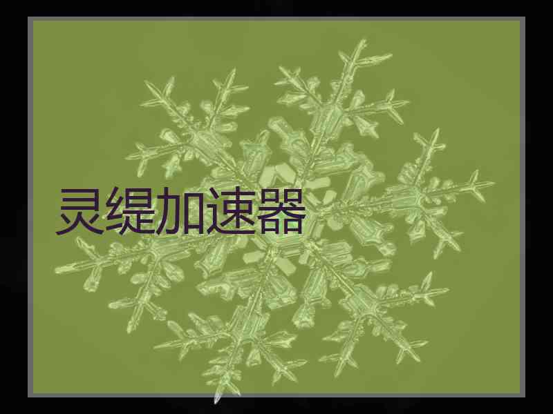 灵缇加速器