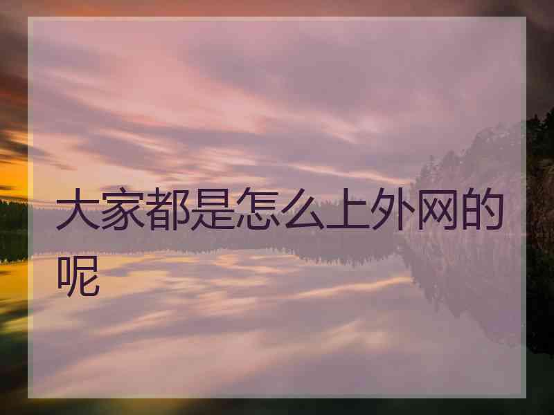 大家都是怎么上外网的呢