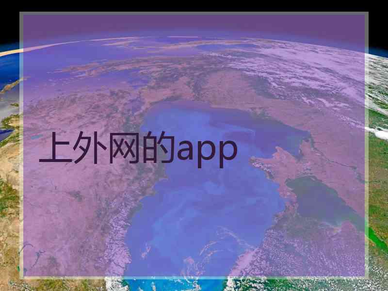 上外网的app