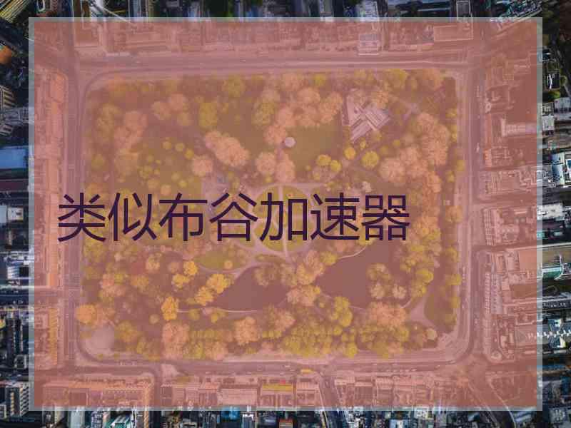类似布谷加速器