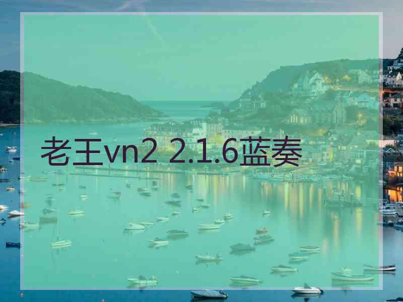 老王vn2 2.1.6蓝奏