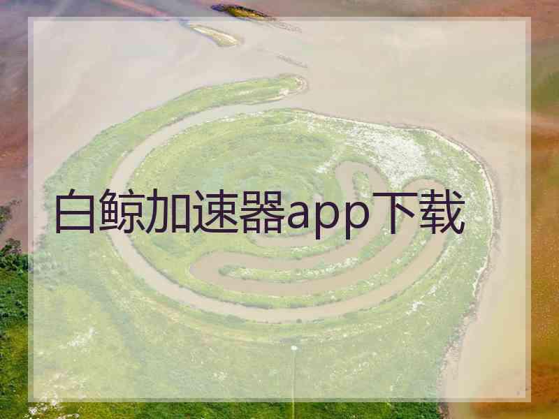 白鲸加速器app下载