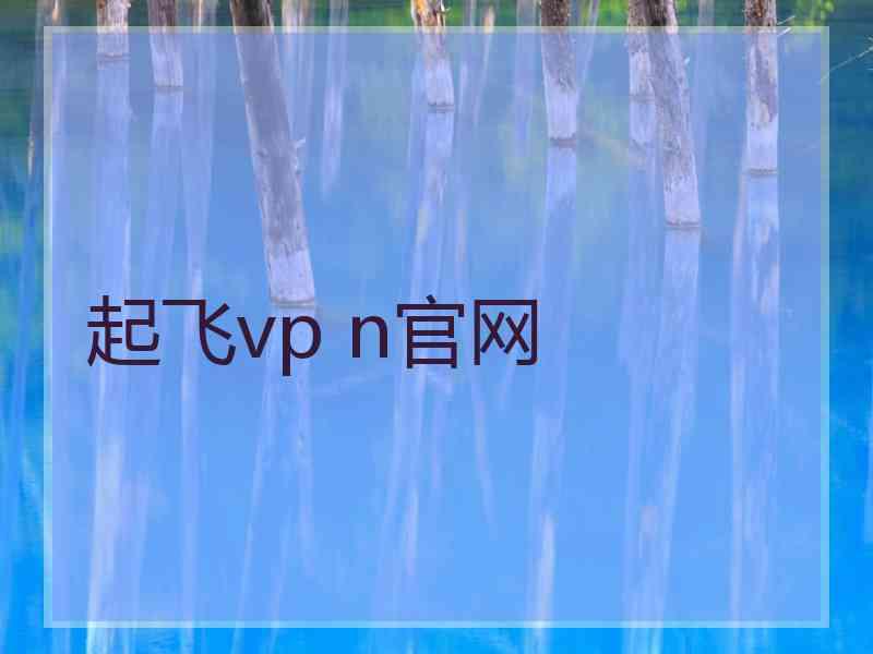 起飞vp n官网