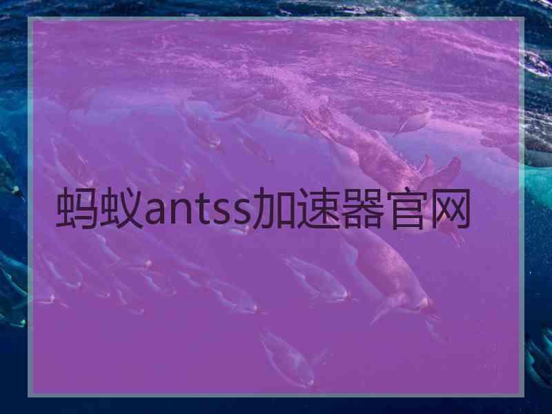 蚂蚁antss加速器官网