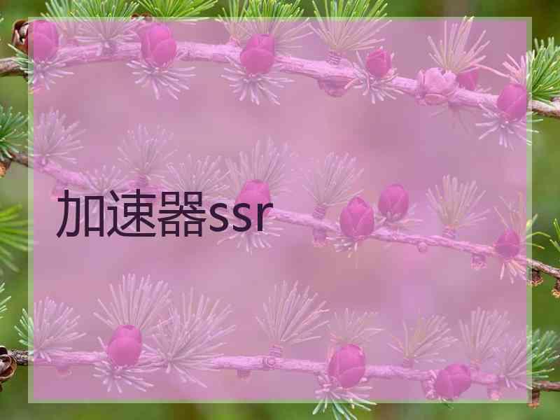 加速器ssr