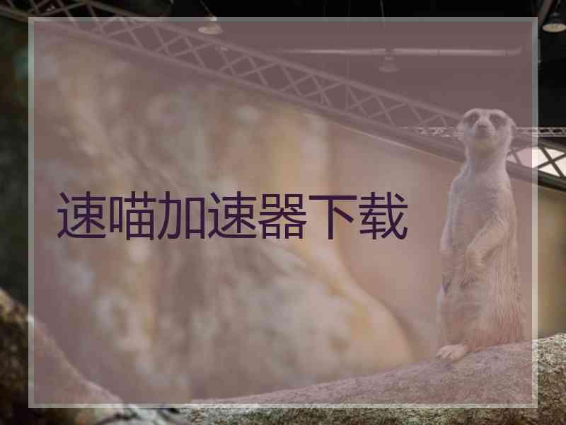 速喵加速器下载