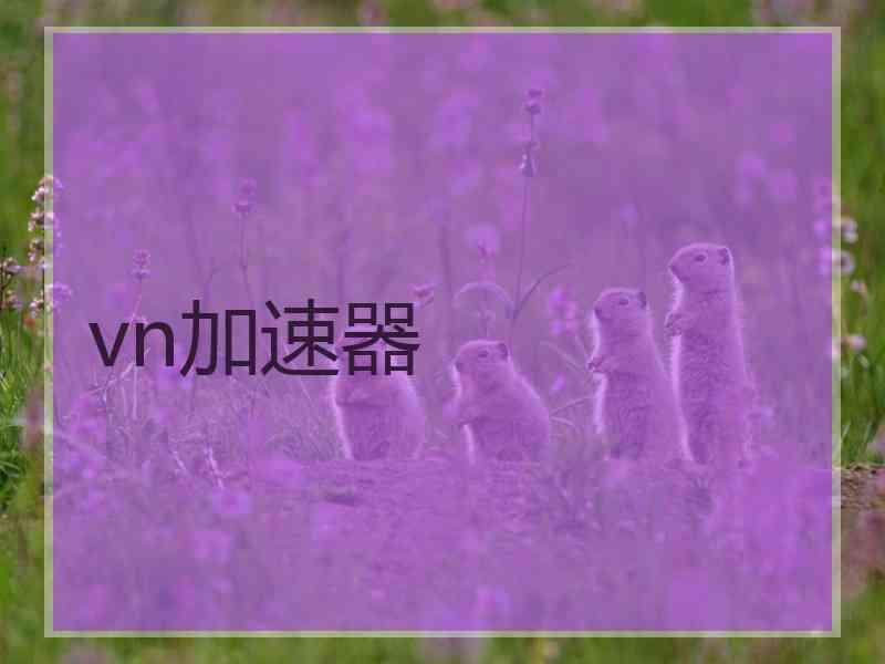 vn加速器
