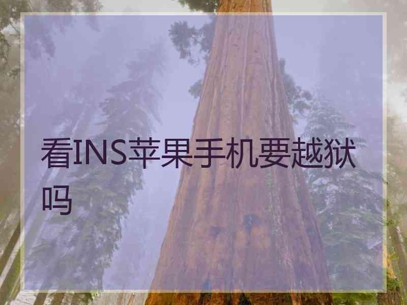 看INS苹果手机要越狱吗