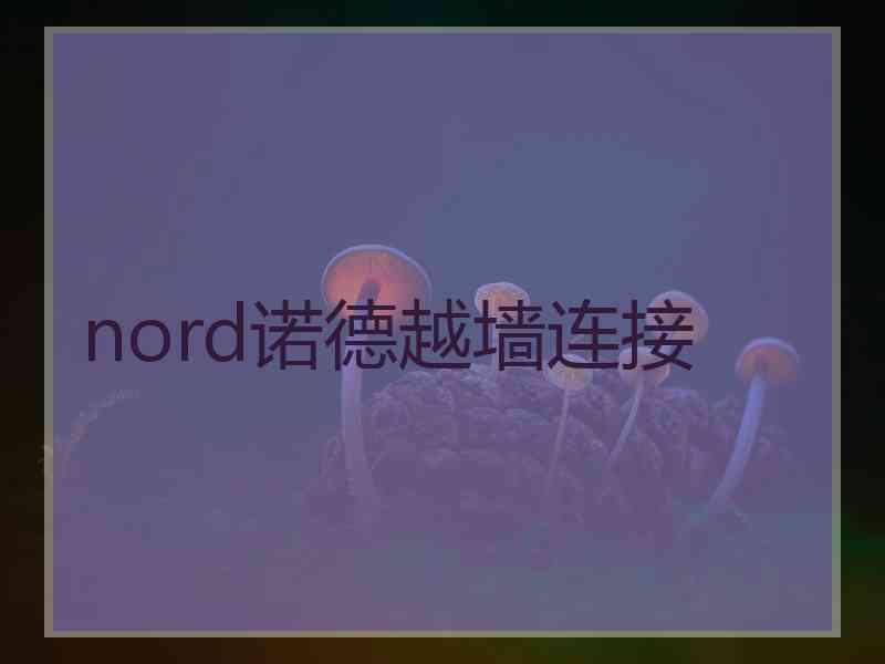 nord诺德越墙连接