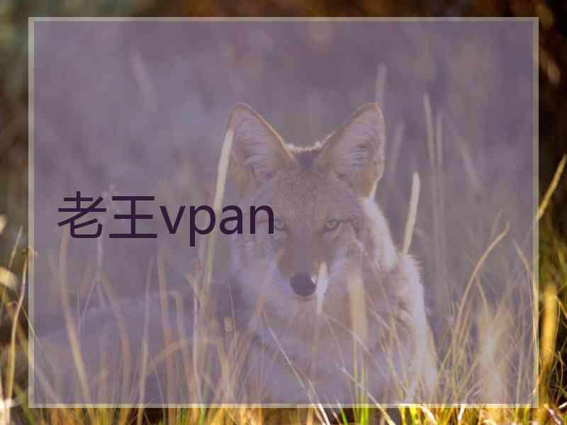 老王vpan