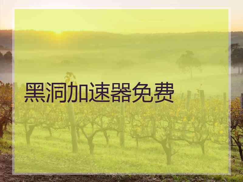 黑洞加速器免费
