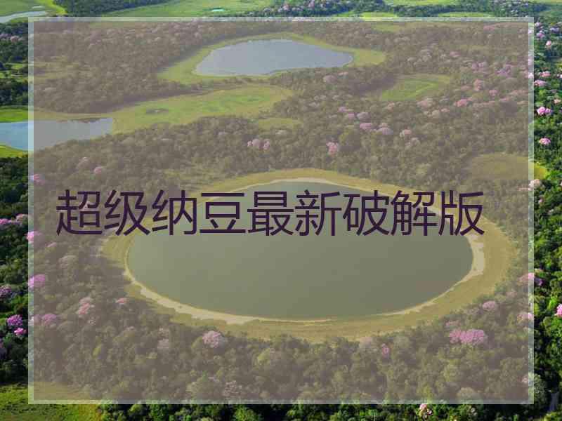 超级纳豆最新破解版