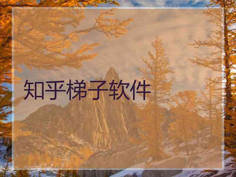知乎梯子软件