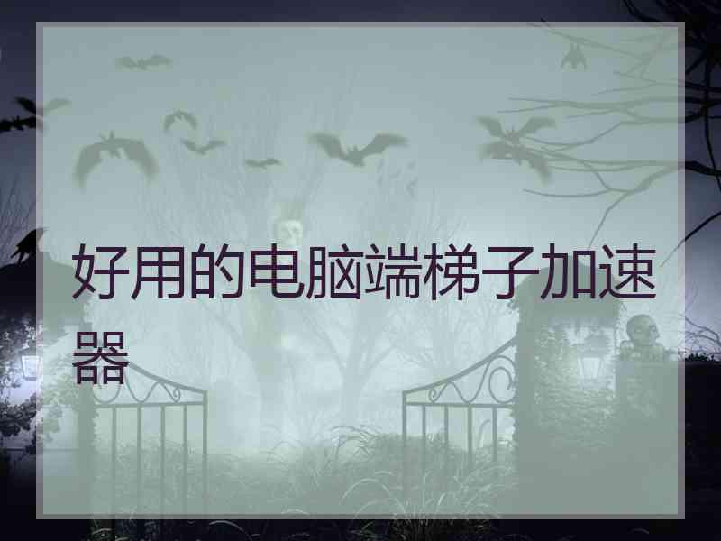 好用的电脑端梯子加速器