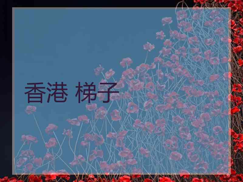 香港 梯子