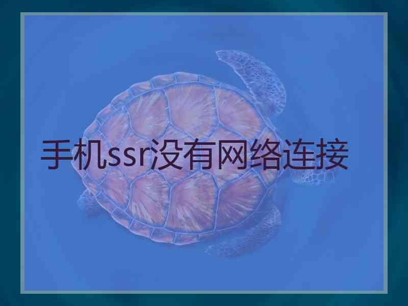 手机ssr没有网络连接