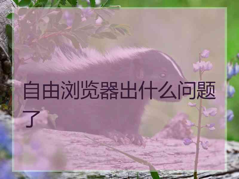自由浏览器出什么问题了