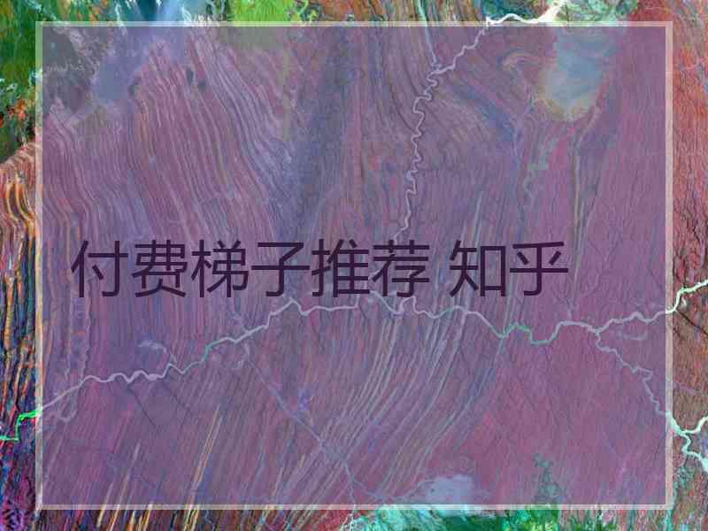 付费梯子推荐 知乎