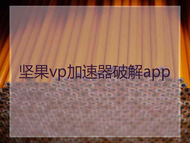 坚果vp加速器破解app