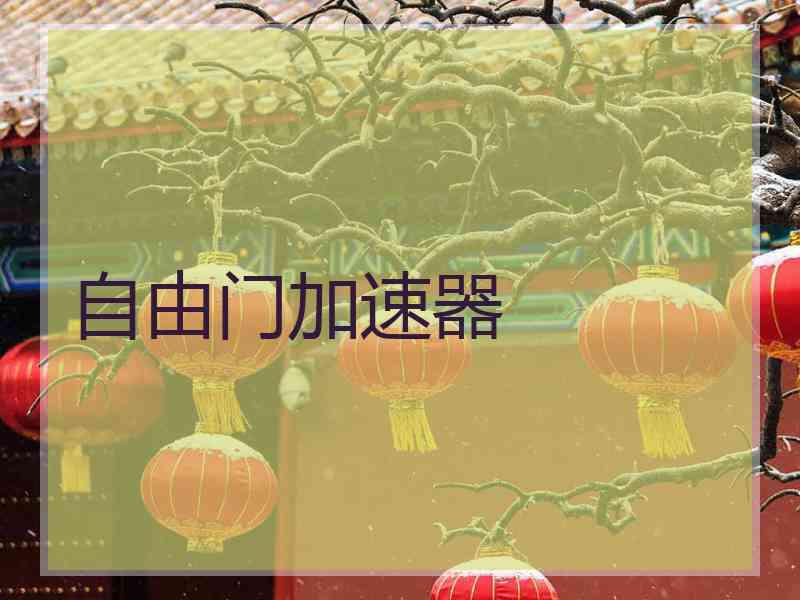 自由门加速器