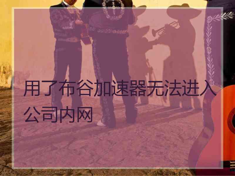 用了布谷加速器无法进入公司内网