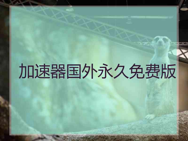 加速器国外永久免费版