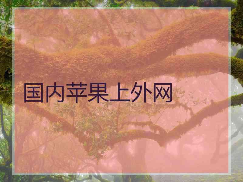 国内苹果上外网