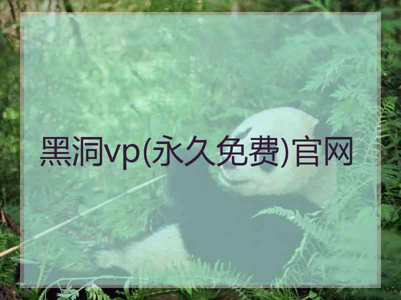 黑洞vp(永久免费)官网