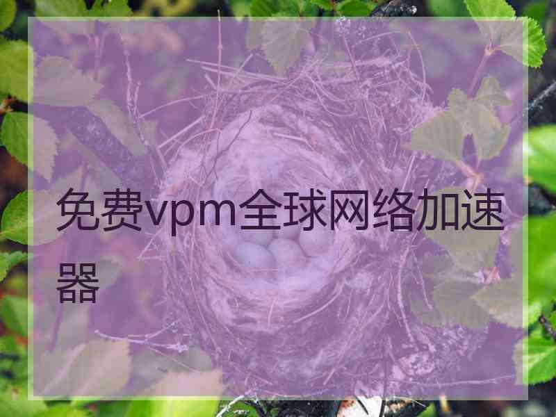 免费vpm全球网络加速器