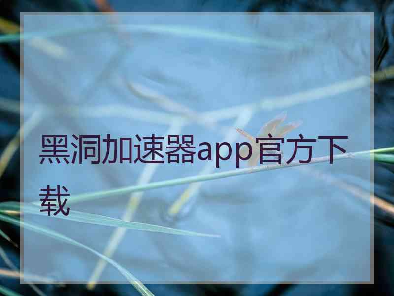 黑洞加速器app官方下载