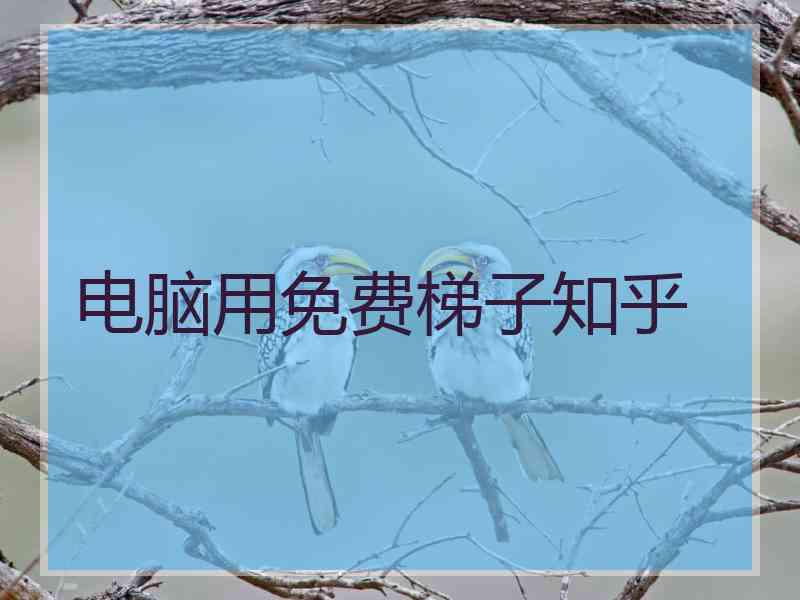 电脑用免费梯子知乎