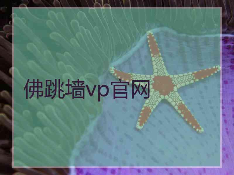 佛跳墙vp官网