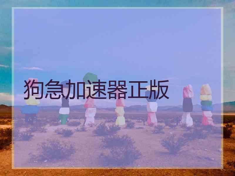 狗急加速器正版