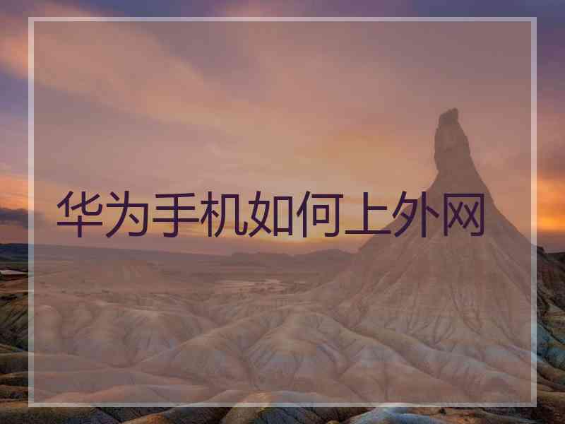 华为手机如何上外网