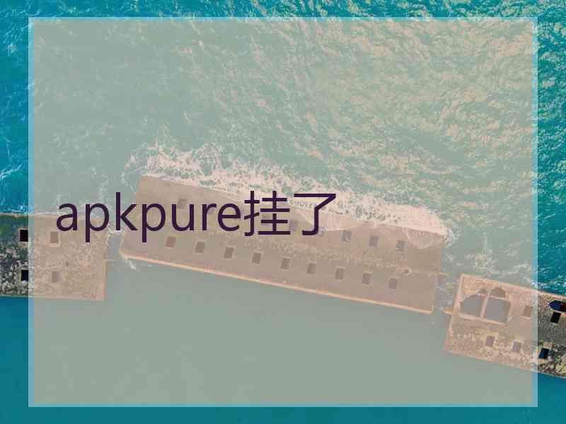 apkpure挂了