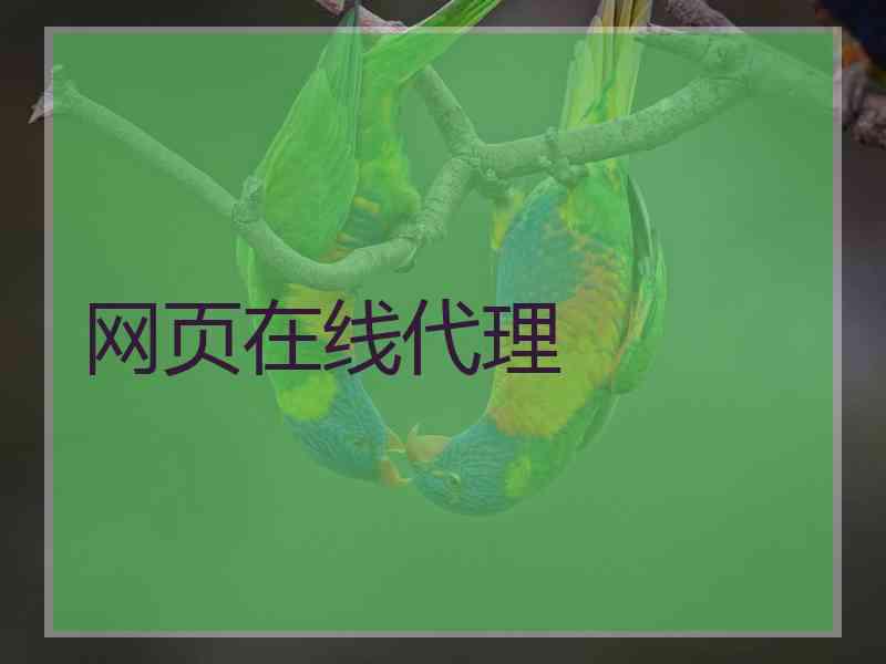 网页在线代理