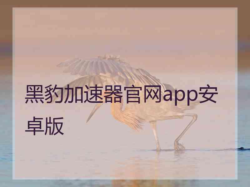黑豹加速器官网app安卓版