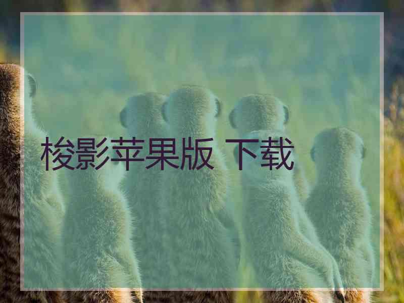 梭影苹果版 下载