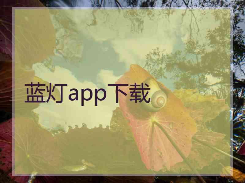 蓝灯app下载