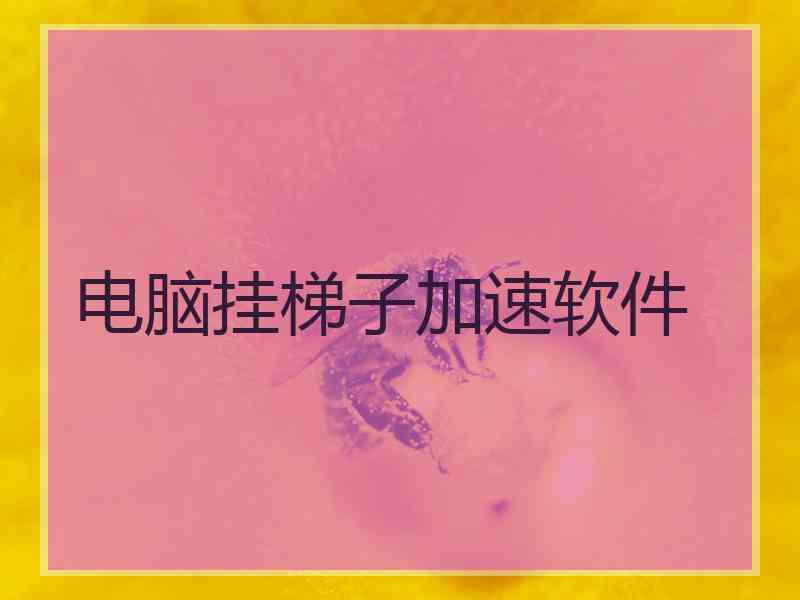 电脑挂梯子加速软件