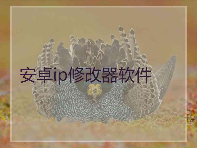 安卓ip修改器软件