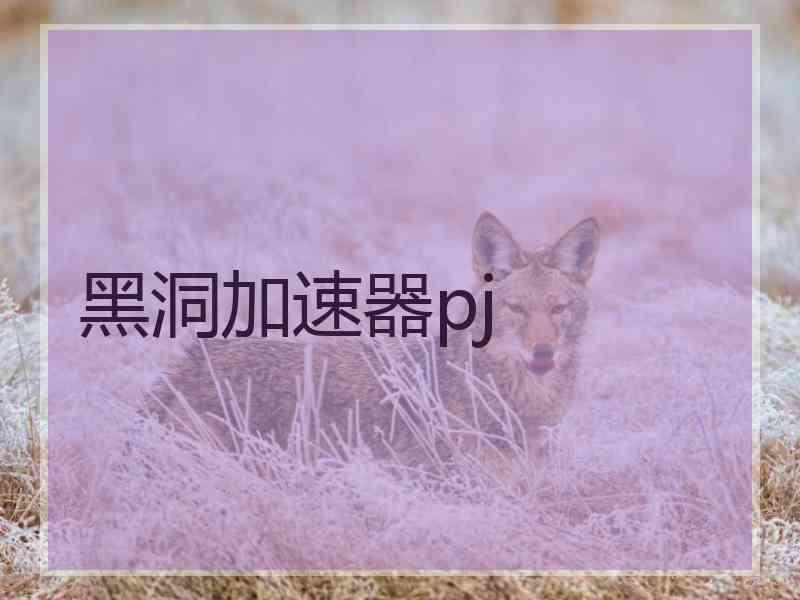 黑洞加速器pj