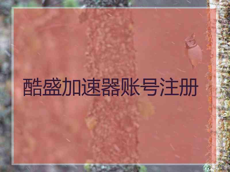 酷盛加速器账号注册