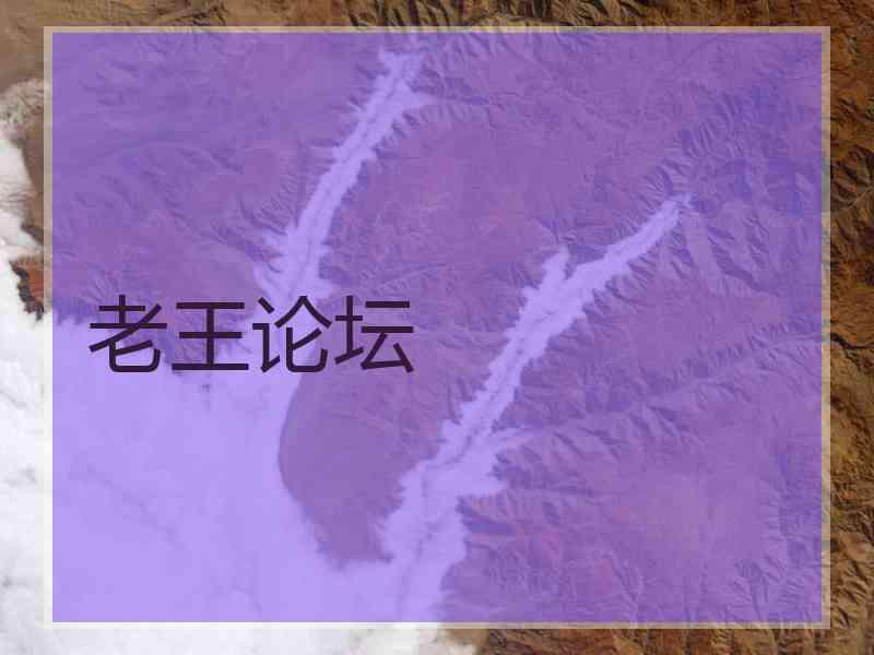 老王论坛