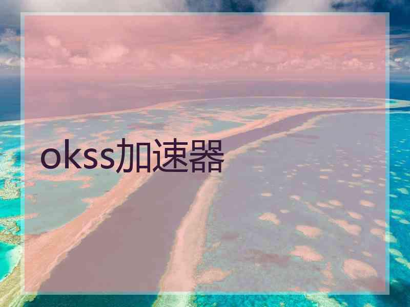 okss加速器