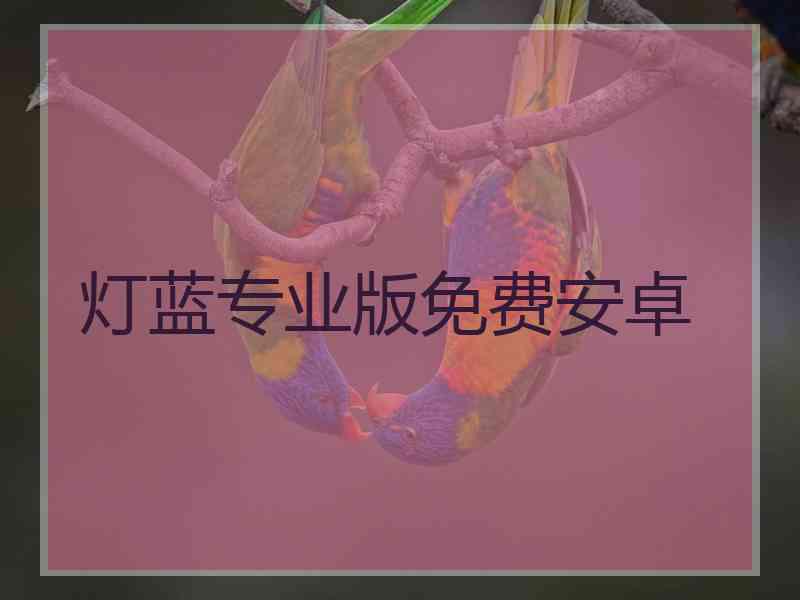 灯蓝专业版免费安卓