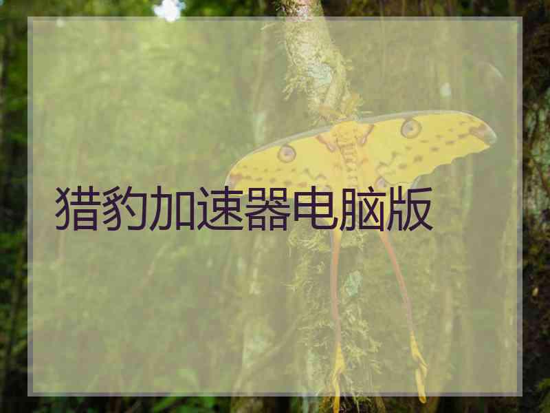 猎豹加速器电脑版